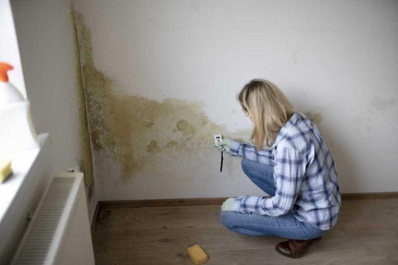 How to Fix Mold in Your Home - Getty Images