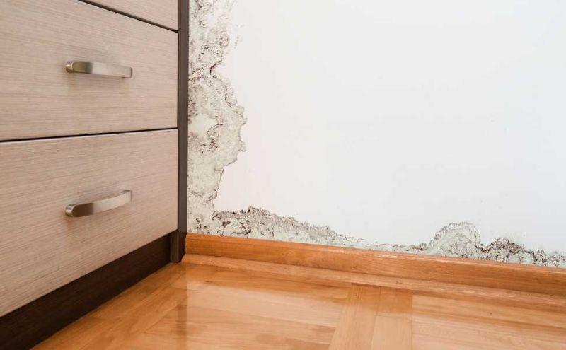 Sanitizing a house with rising damp - Getty Images