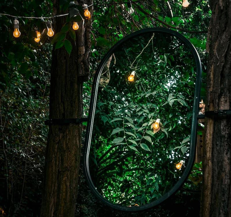 Specchio tra gli alberi, foto da Pexels