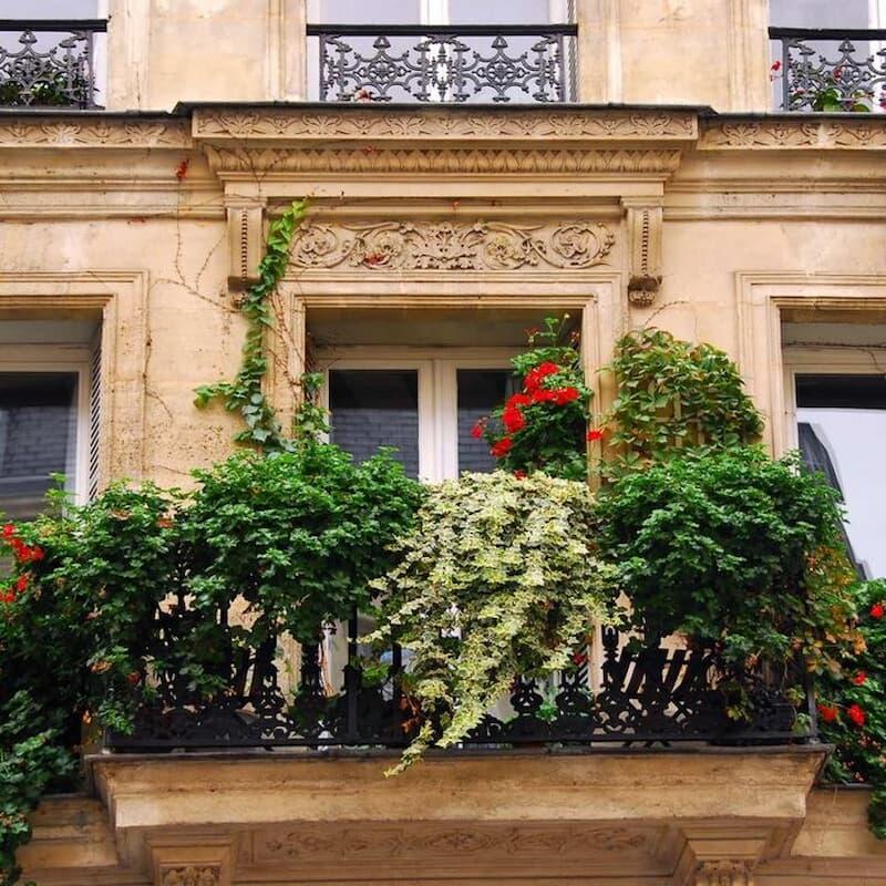 Ringhiera balcone decorata con piante rampicanti - foto Pinterest
