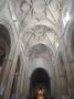 Volte a stella della Cattedrale di Cadice - foto di Federica Vitrone