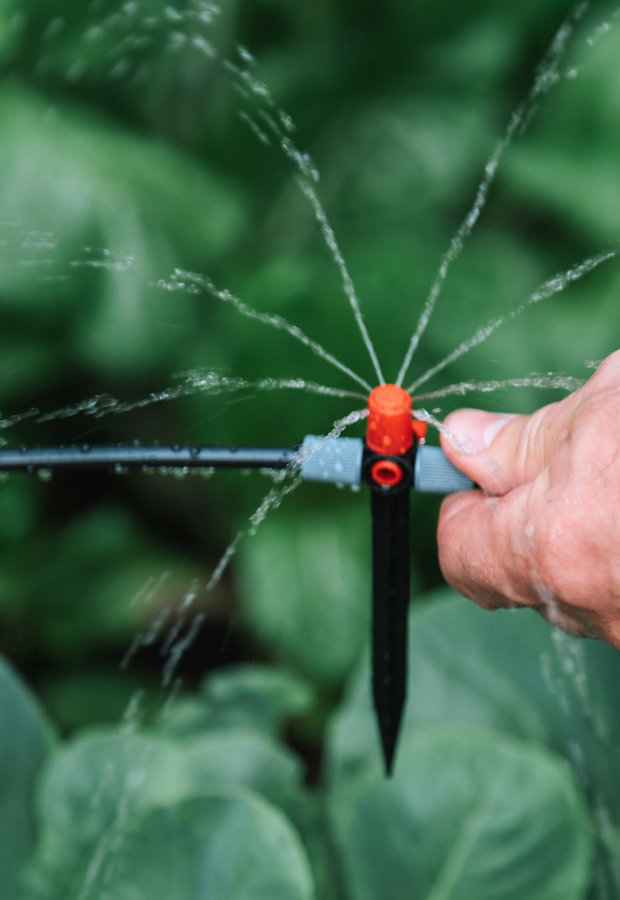 Drip Irrigation System - Canva