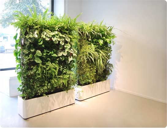 Plant dividers, from housetohome.com 