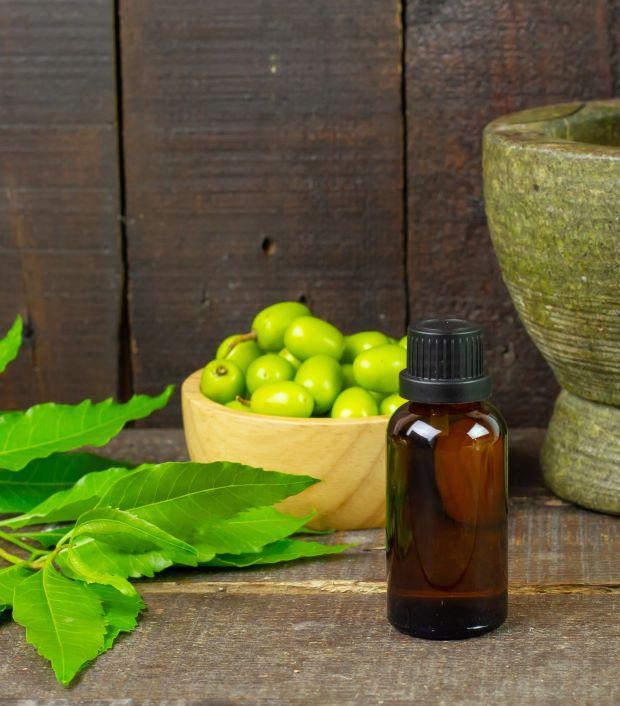 Neem Oil, Great Product Not Harmful to Plants and Humans - Pixabay