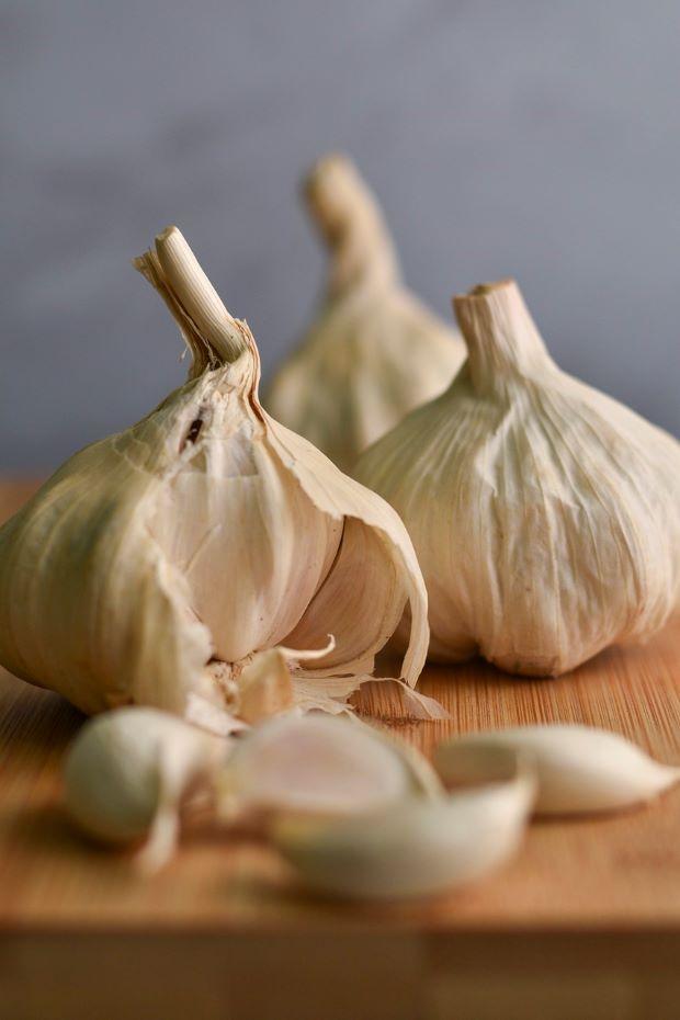 A head of garlic, very useful against insects - Pixabay