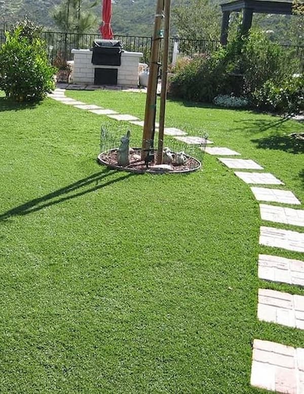 Synthetic grass - Amazon photo