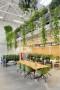 Una sala comune progettata con il concetto di biophilic design - Foto Pinterest