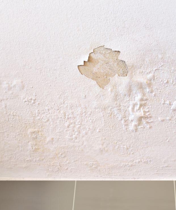 Plaster damaged by humidity - Getty Images