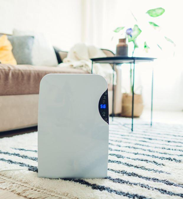 A dehumidifier can make all the difference - Getty Images