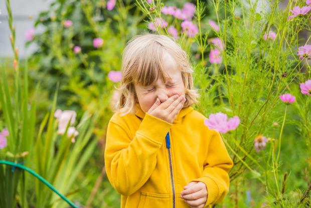 Go to the emergency room if you have ingested or come into contact with a poisonous plant - Getty Images