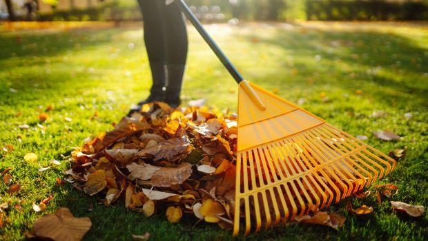 Metodi di giardinaggio per curare il giardino in autunno