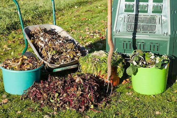 Collecting dry branches and leaves for a thorough autumn cleanup - Getty Images