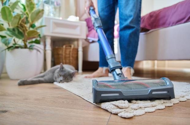 Cordless electric brooms with attachments for pet hair - photo Getty Images