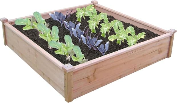 Wooden raised bed garden from Amazon