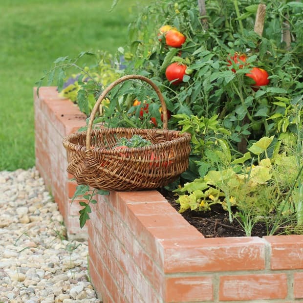 Masonry raised vegetable garden from Getty Images