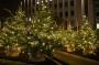 Albero di Natale naturale con luci da Getty Images