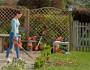 Cura del giardino in primavera