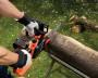 Sega a batteria Black&Decker