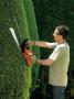 Tagliasiepi Black&Decker