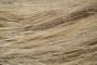 Fibre naturali (lino) usate per l'isolamento
