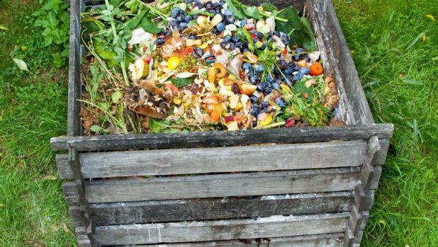 Come creare una compostiera da balcone per rifiuti organici in casa