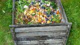 Compostiera da balcone: come fare compost anche in città