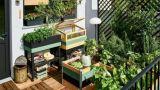Orto rialzato in terrazzo: come realizzarlo passo passo