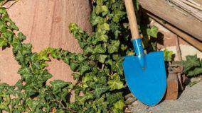 Come scegliere la vanga per orto e giardino