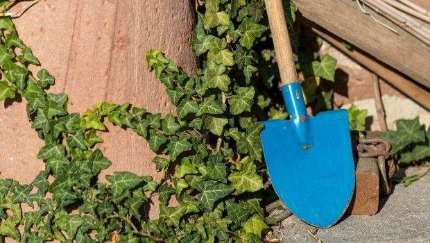 Come scegliere la vanga per orto e giardino