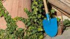 Img Scegliere la vanga per orto e giardino