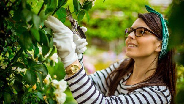 Guida ai prodotti naturali per orto e giardino: come scegliere quelli giusti
