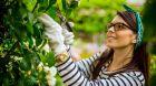 Img Prodotti naturali da usare per la coltivazione di piante da orto e giardino