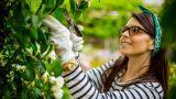 Prodotti naturali da usare per la coltivazione di piante da orto e giardino