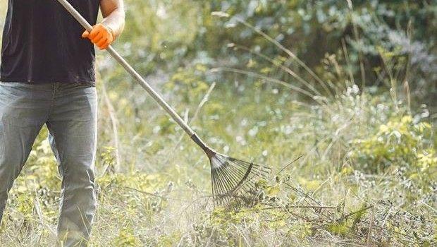 Guida completa su come preparare il terreno e seminare il prato in giardino