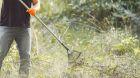 Img Come preparare il terreno e seminare il prato in giardino