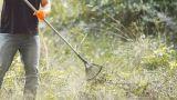 Come preparare il terreno e seminare il prato in giardino