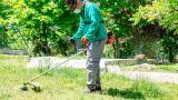 Come scegliere un decespugliatore per i lavori in giardino