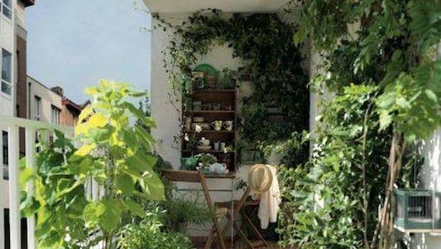 Giardino verticale fai da te: guida dettagliata per realizzarlo passo dopo passo