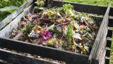 Compostiera termica per la casa: come accelerare il compost tutto l’anno