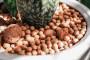 Argilla espansa per assicurare un buon drenaggio - foto Pinterest