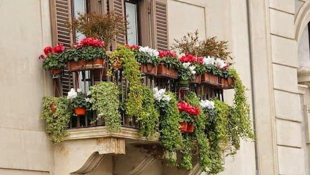 Portavasi da balcone regolabili: come sfruttare al meglio ringhiere e parapetti