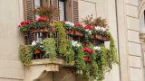 Supporti regolabili per vasi da balcone: modelli pratici e salvaspazio