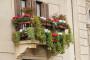 Portavasi per abbellire la ringhiera del balcone