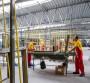 Operai a lavoro in azienda - Foto Dako