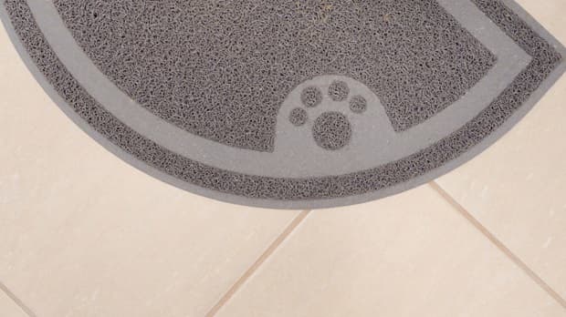 Zerbino gomma impronta istock