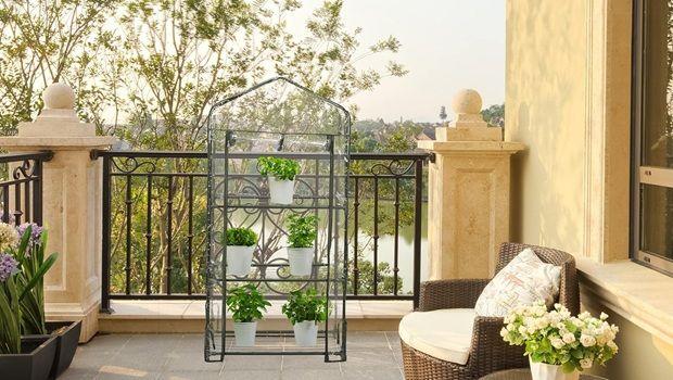Mini serre da balcone: coltivare in verticale anche in città