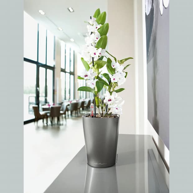 Vaso con irrigazione intelligente in polipropilene - Lechuza Deltini