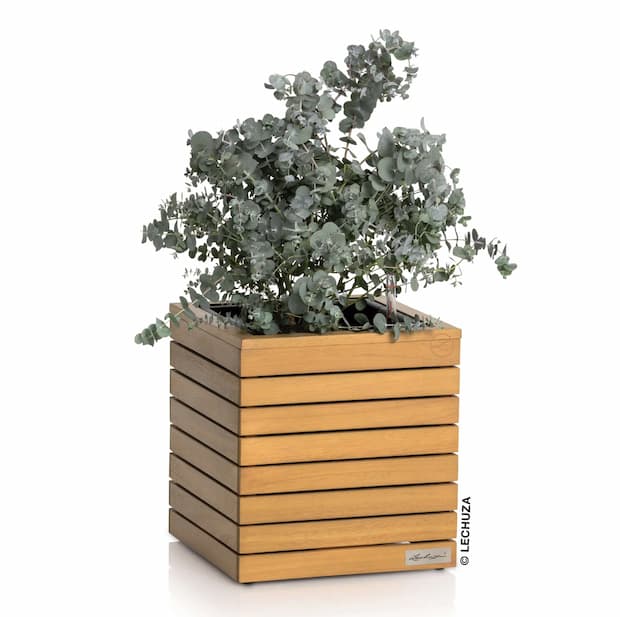 Vaso coin riserva d'acqua in legno massello di eucalipto PALO Natural Woodby LECHUZA 
