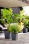 Vaso con serbatorio d'acqua in plastica 100% riciclata - Greensense aqua care di Elho