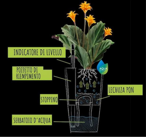 Sistema di irrigazione a Stoppino di Lechuza